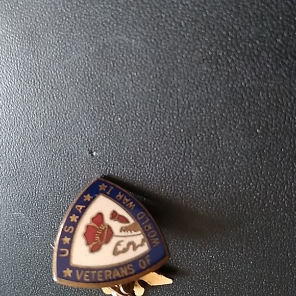 USA VETERANS OF WWI PIN - Picture 2 of 4